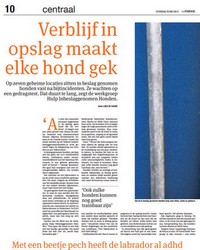 artikel Parool 1e pagina